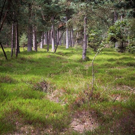 Boszicht Villa Diever Bagian luar foto