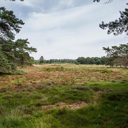 Boszicht Villa Diever Bagian luar foto