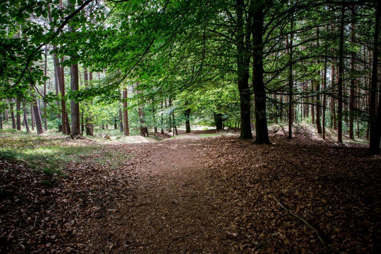 Boszicht Villa Diever Bagian luar foto