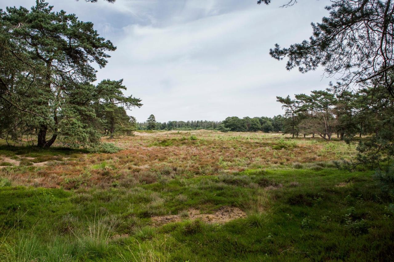 Boszicht Villa Diever Bagian luar foto